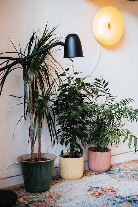 Jolie Studio Belleville Paris